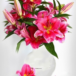 Пазл: Свежий яркий букет