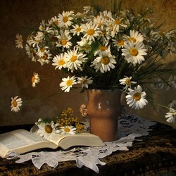 Пазл: Зацвели ромашки – наступило лето