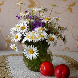 Пазл: Скромные цветы