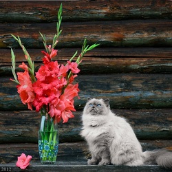 Пазл: Лето за городом