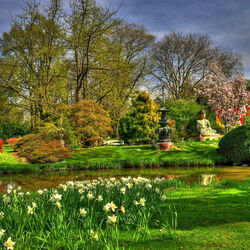 Пазл: Природа