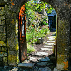 Пазл: Прогулки по югу Франции