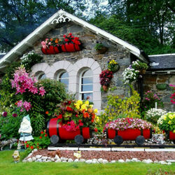 Пазл: Цветы у дома