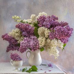 Пазл: Сирени праздничный салют