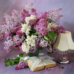 Пазл: Фиолетовый, белый, лиловый