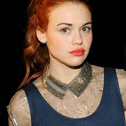 Пазл: Холланд Роден