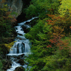 Пазл: Горная река