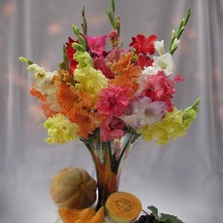 Пазл: Разноцветные пики гладиолусов