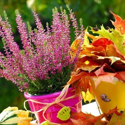 Пазл: Сочный осенний букет