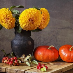 Пазл: Цветок, влюблённый в солнце