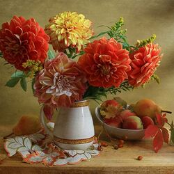 Пазл: Краса георгина