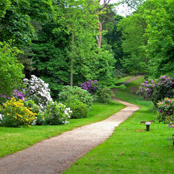 Пазл: Графство Норфолк