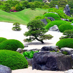 Пазл: Сад-музей. Япония