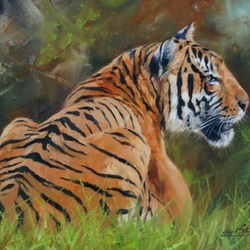 Пазл: Тигр в траве