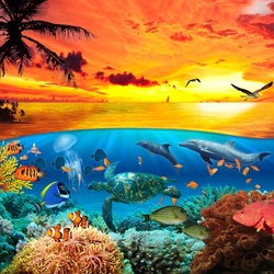 Пазл: Океан