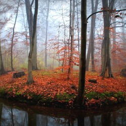 Пазл: Островок уединения