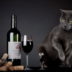 Пазл: И зачем они пьют эту гадость?