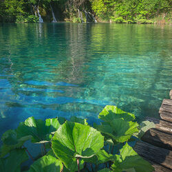 Пазл: Озеро