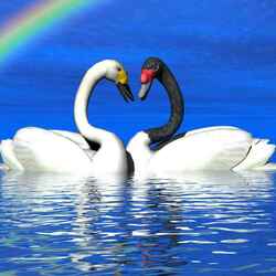 Пазл: Радуга