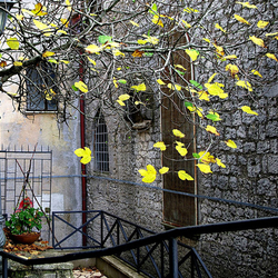 Пазл: Осень