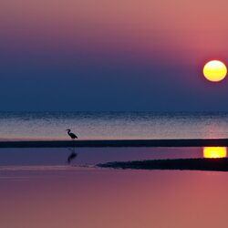 Пазл: Малиновый закат