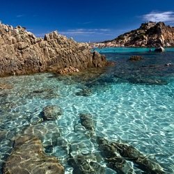 Пазл: Морские узоры