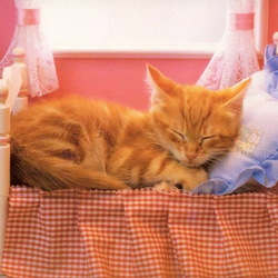 Пазл: Сладкий сон