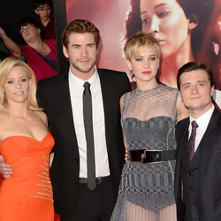 Пазл: Голодные игры