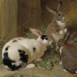 Пазл: Кролики