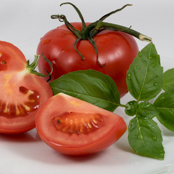 Пазл: Сочный томат