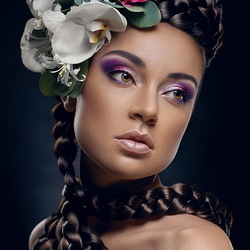 Пазл: Девичья коса