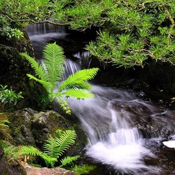 Пазл: Искусственный водопад