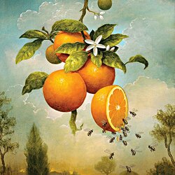 Пазл: Апельсины