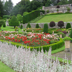 Пазл: Ландшафтный дизайн