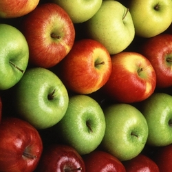 Пазл: Яблоки