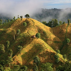 Пазл: Холмы