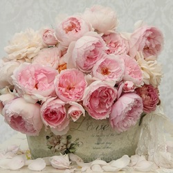 Пазл: С любовью