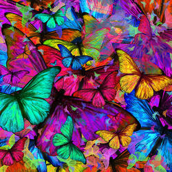 Пазл: Радужные бабочки
