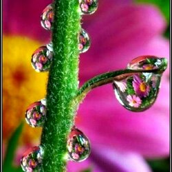 Пазл: Это всего лишь капелька