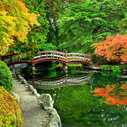 Пазл: Мостик в парке