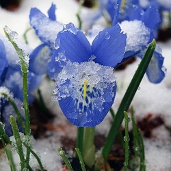 Пазл: Холодно