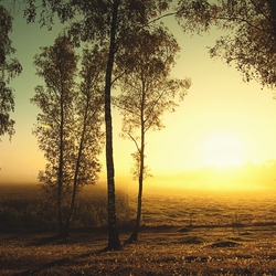 Пазл: Красивый закат