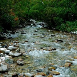 Пазл: Вниз по камушкам