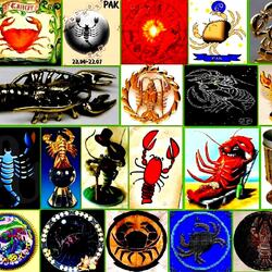 Пазл: Под знаком Рака