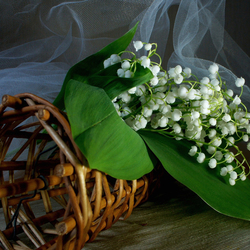 Пазл: Ландыши