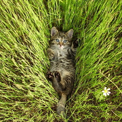 Пазл: Хорошо отдыхаю!