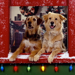 Пазл: В ожидании праздника