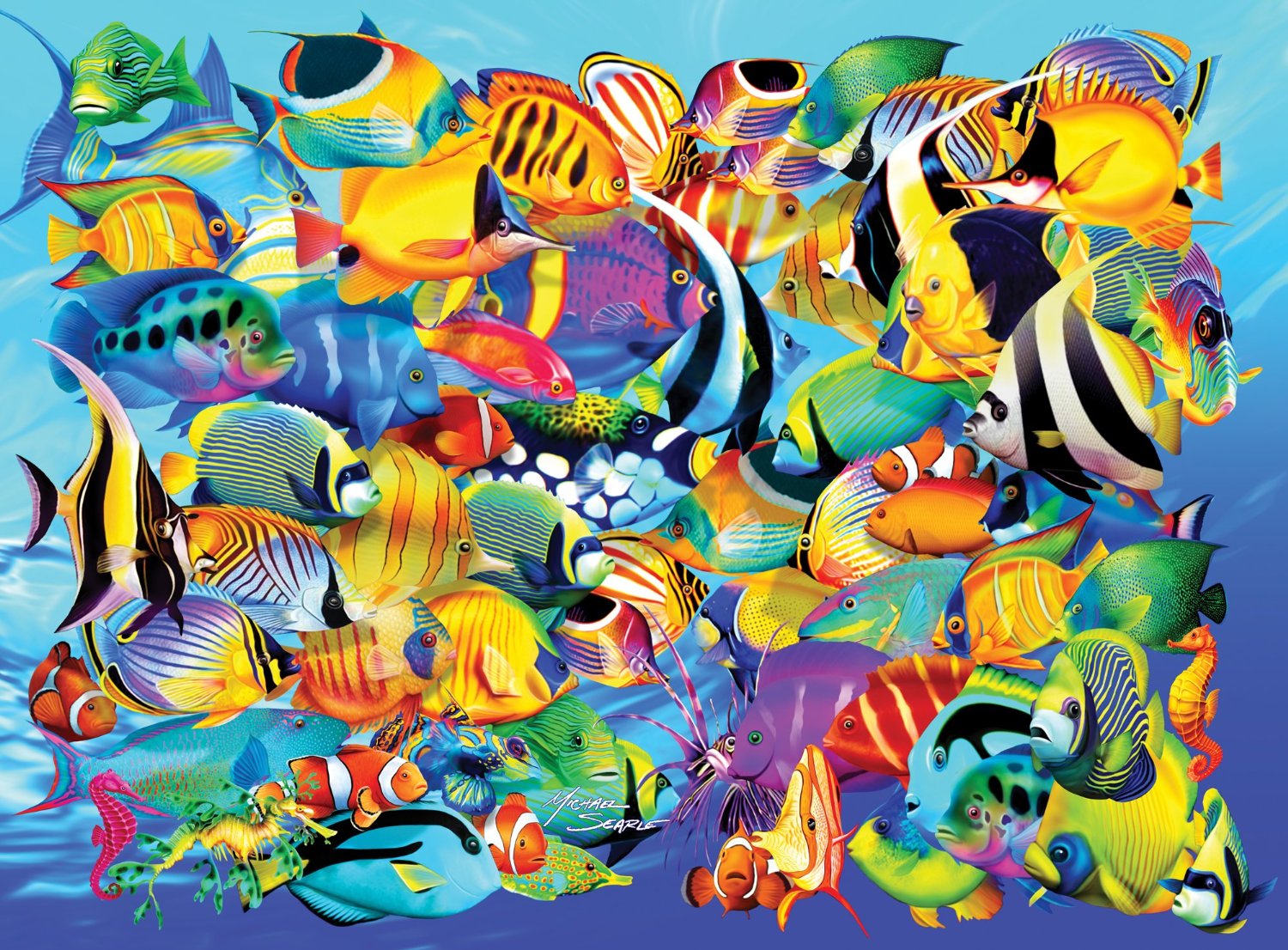 Мир аквариумных рыбок