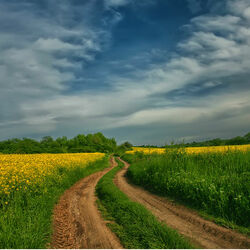 Пазл: Безграничность