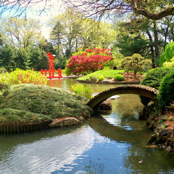 Пазл: Бостонский ботанический сад